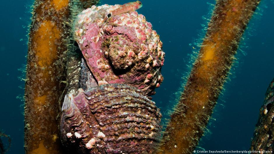 65096959_403 65096959_403