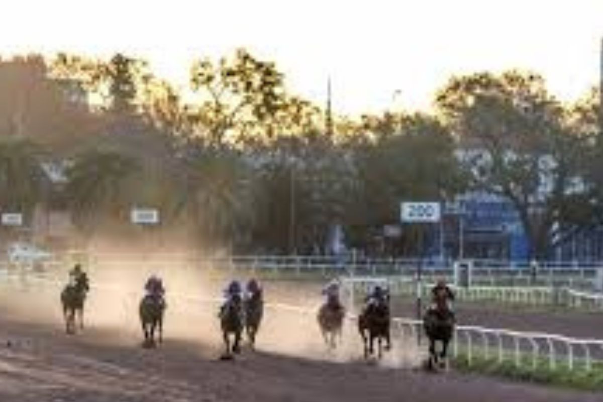 Un caballo fue sacrificado en plena competencia y se vivieron momentos de angustia en el Hipódromo de Rosario