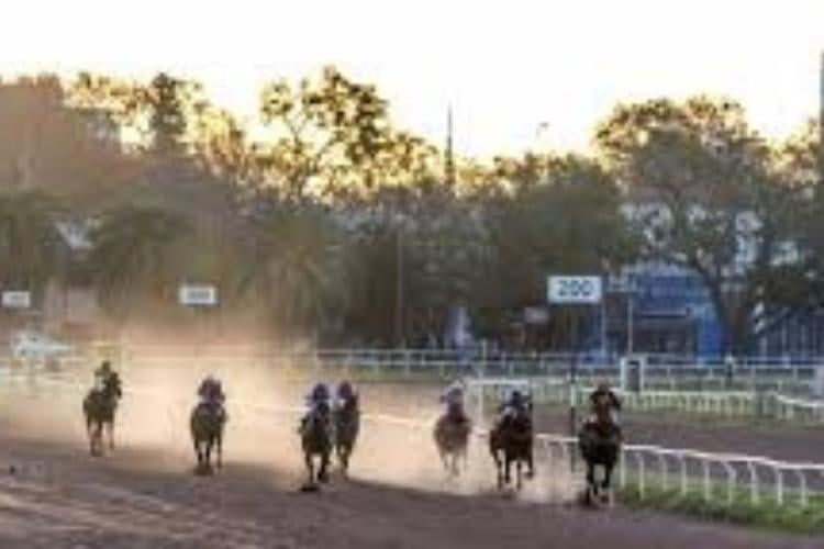 Carrera caballos Un caballo fue sacrificado en plena competencia y se vivieron momentos de angustia en el Hipódromo de Rosario