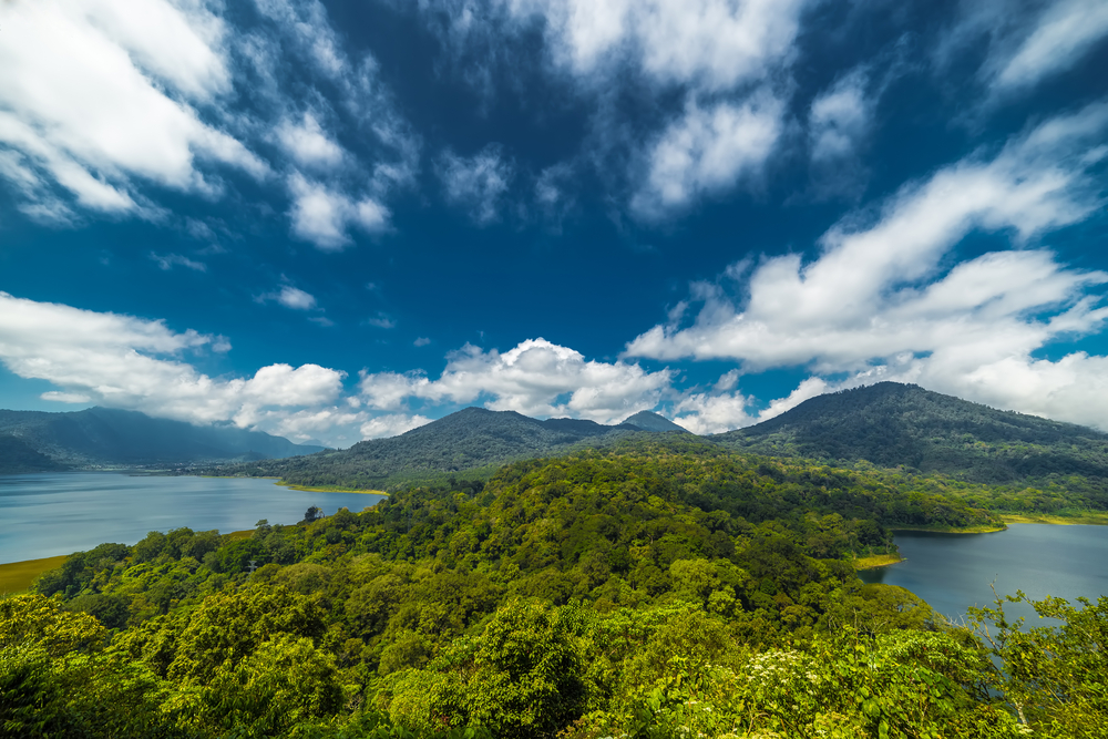 Bosque Indonesia con cielo azul y nubes blancas