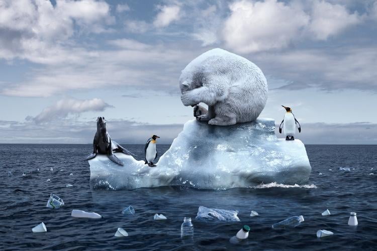 AdobeStock_304705893 Cambio climático