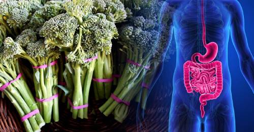 por que deberias conservar tronco brocoli