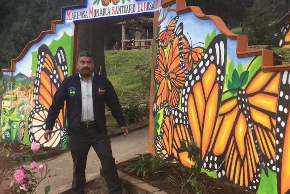 Guardían de la mariposa Monarca Guardían de la mariposa Monarca