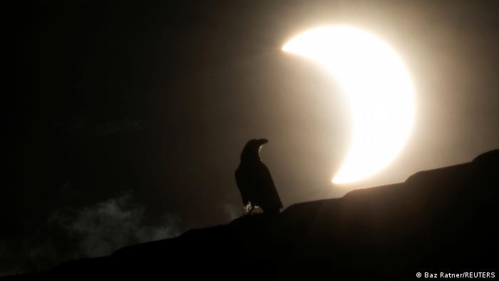 53887340_303 53887340_303