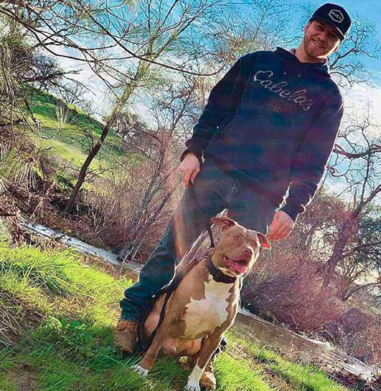 PERRO OSO2 PERRO OSO2