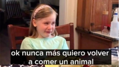 niña comer animales niña comer animales