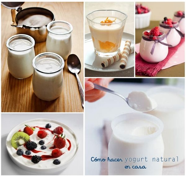 ético Te mejorarás Dar Cómo hacer yogurt natural en casa | Bioguia
