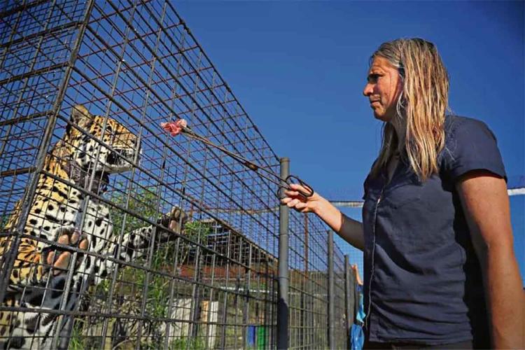 Sofía Heinonen Sofía Heinonen