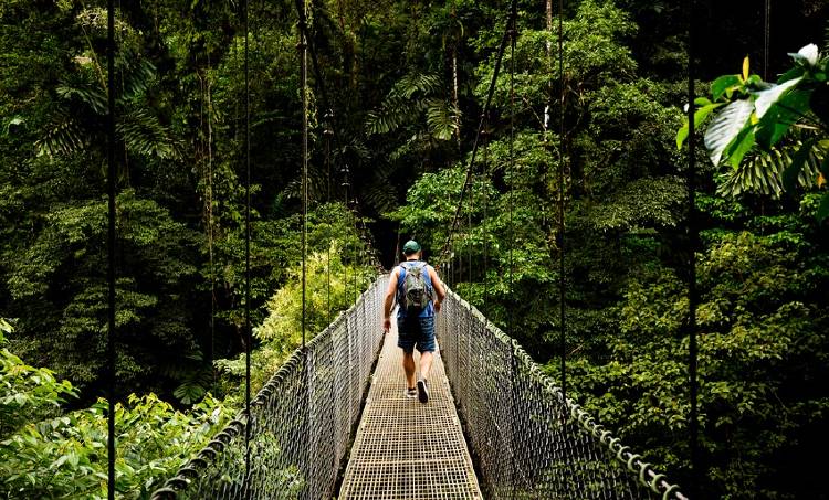 bosque costa rica