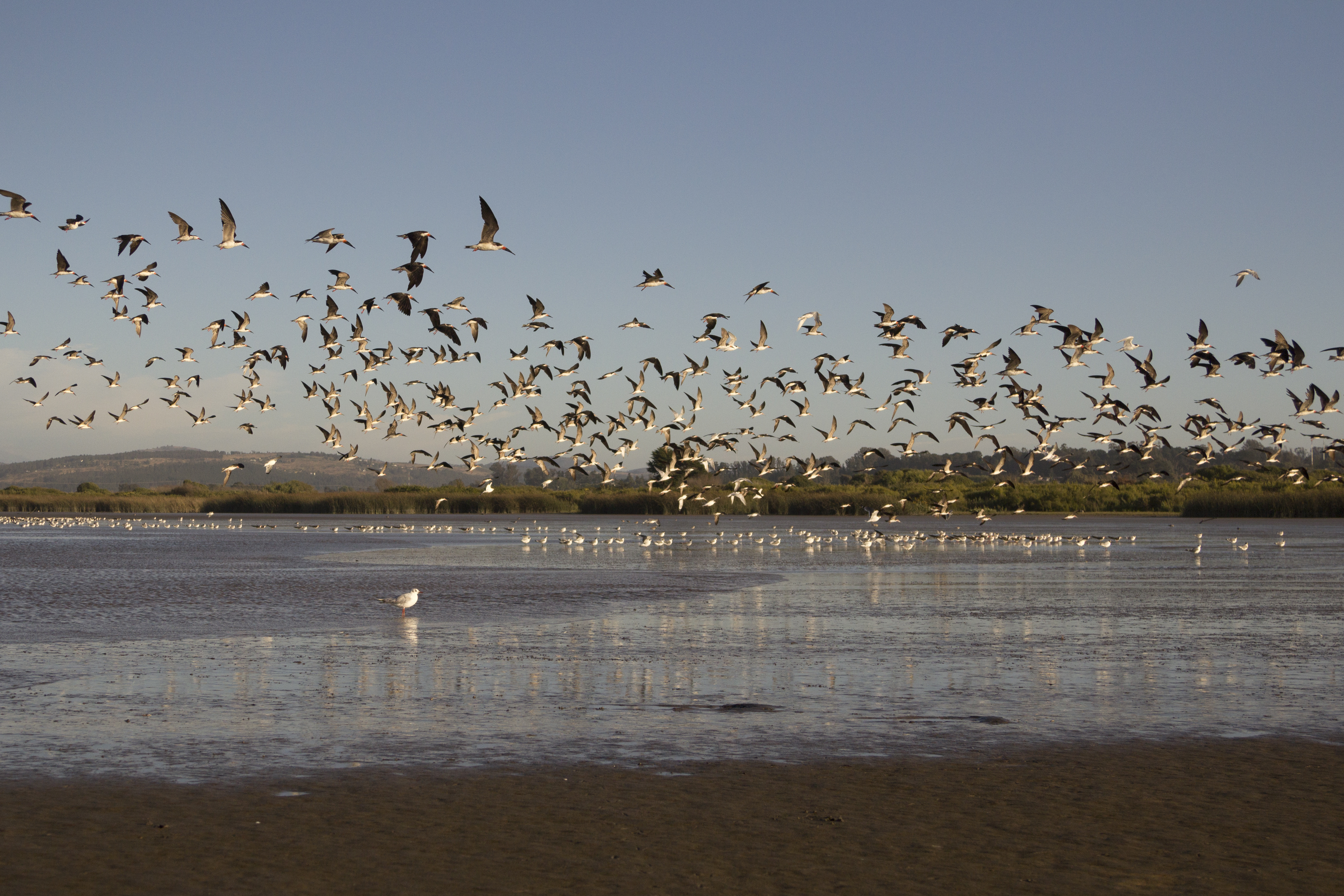 AdobeStock_459459727 AdobeStock_459459727