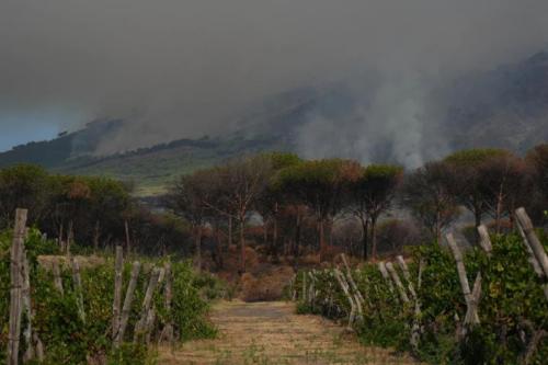 italia llamas.jpg Un incendio forestal de gran magnitud continúa activo por tercer día consecutivo en el Parque Nacional del Vesubio, ubicado en la localidad de Terzigno, cerca de Nápoles, Italia. (telesurtv.net)