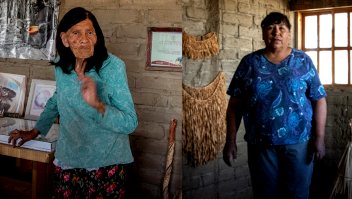 lengua indigena lengua indigena