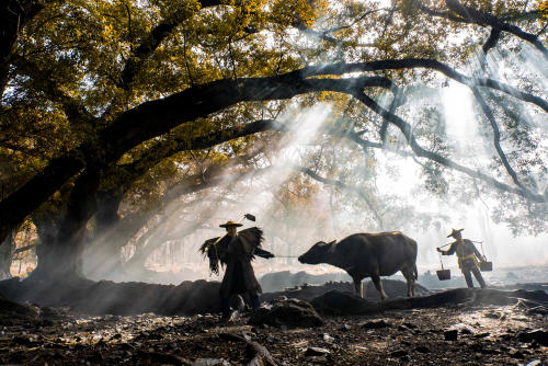xiapu china rural xiapu china rural