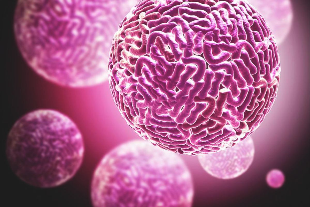 Un estudio genético reveló que los virus hallados en España son casi idénticos a cepas de Argelia, Kenia y Sudáfrica (pixels.com)