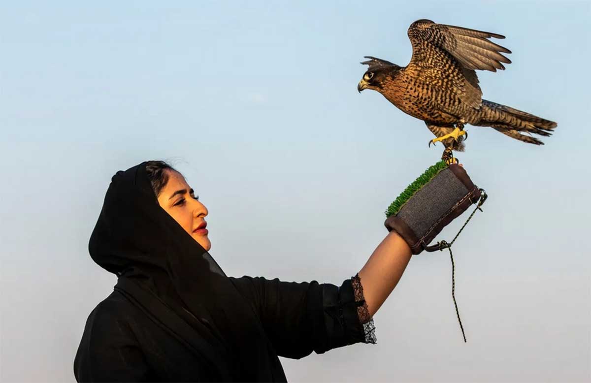 HALCONES CETRERIA2 HALCONES CETRERIA2