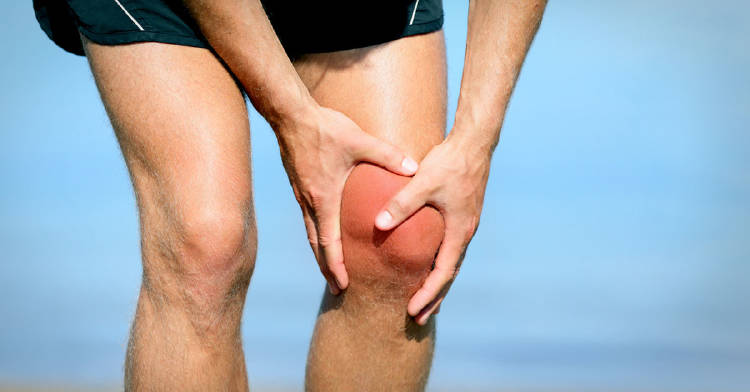 plantas-ayudarte-dolor-muscular plantas-ayudarte-dolor-muscular