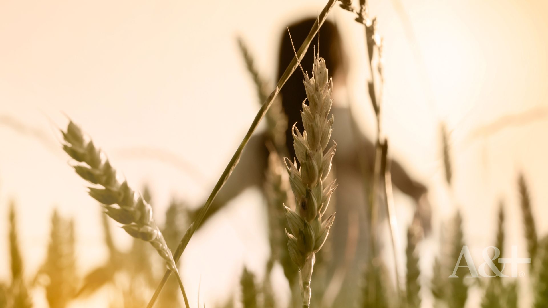 Derecho romano y derecho ambiental Derecho romano y derecho ambiental