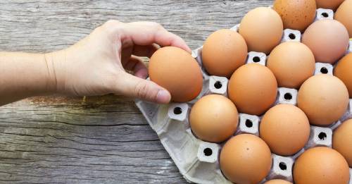 ¿Cómo saber si los huevos "caducados" siguen siendo buenos para comer?