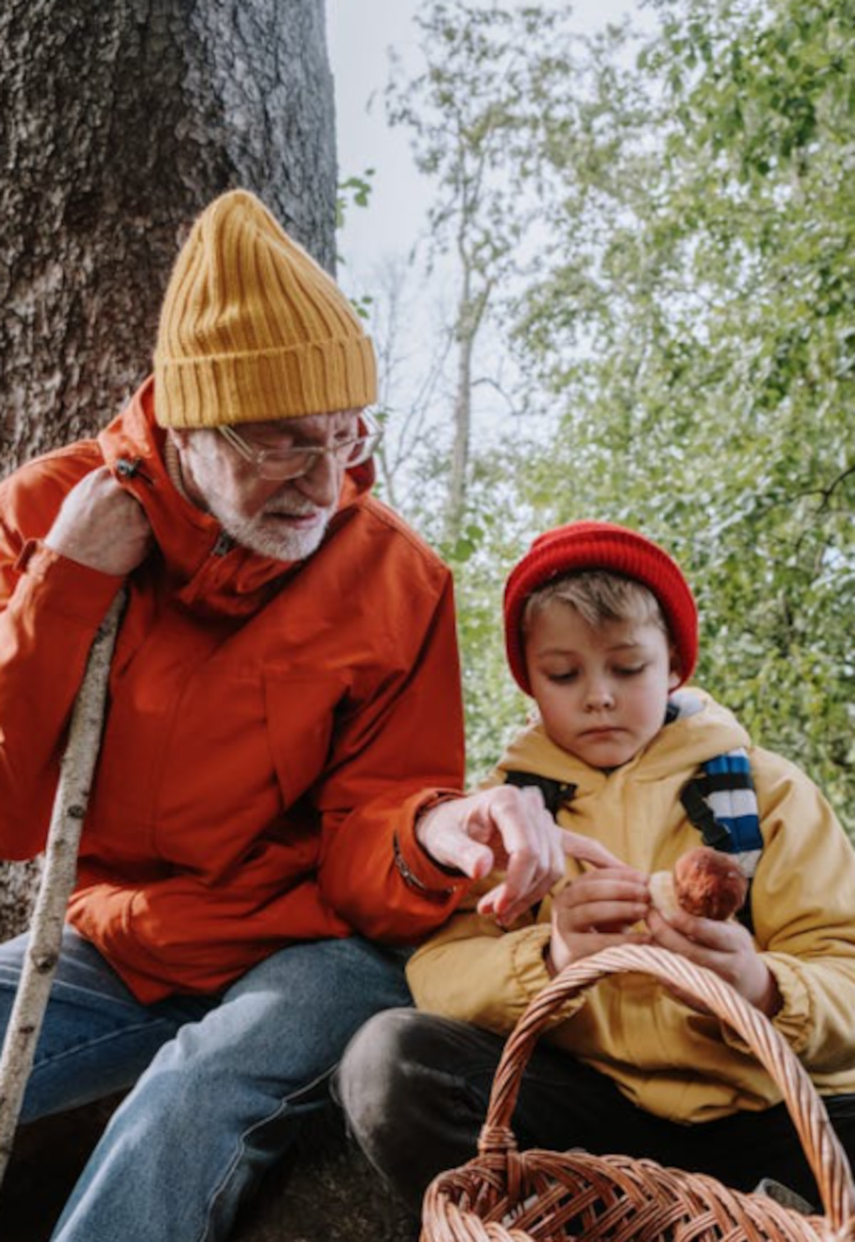 abuelo pexels abuelo pexels