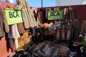 cueros animales El operativo en Villa Urquiza. (Foto: PFA).