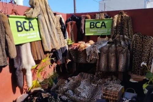 cueros animales El operativo en Villa Urquiza. (Foto: PFA).