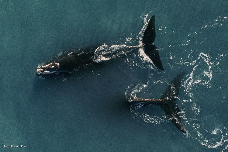 © Foto 04 © Foto 04