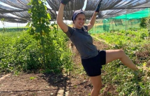 Delfina santamaria Delfina santamaria