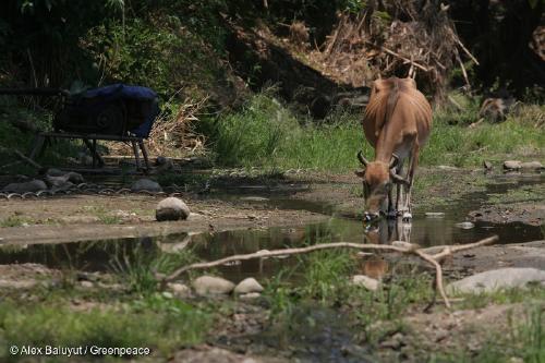 WhatsApp Image 2021 08 13 at 11.49.44 (4) WhatsApp Image 2021 08 13 at 11.49.44 (4)