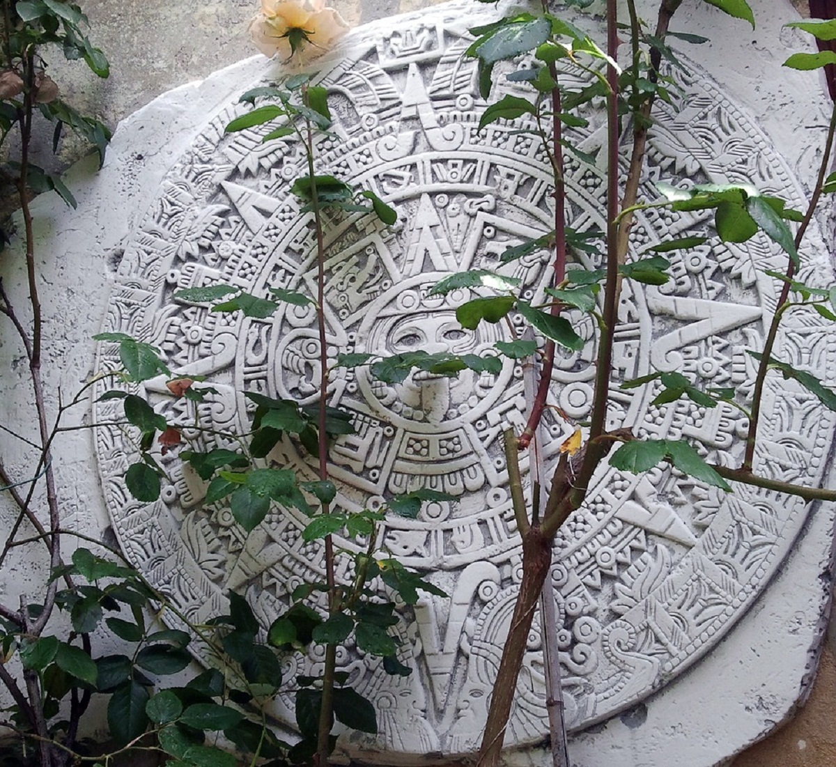 maya 132018 1280 Quinto sol