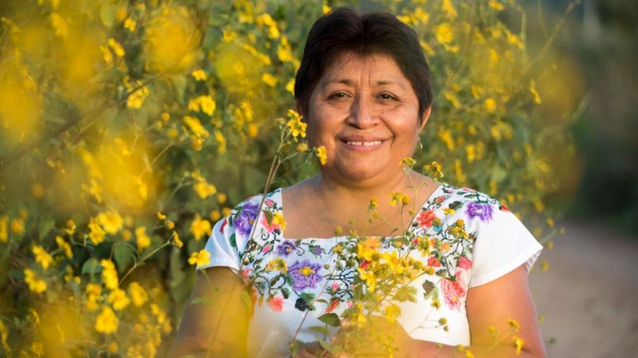 leydy pech1 leydy pech1