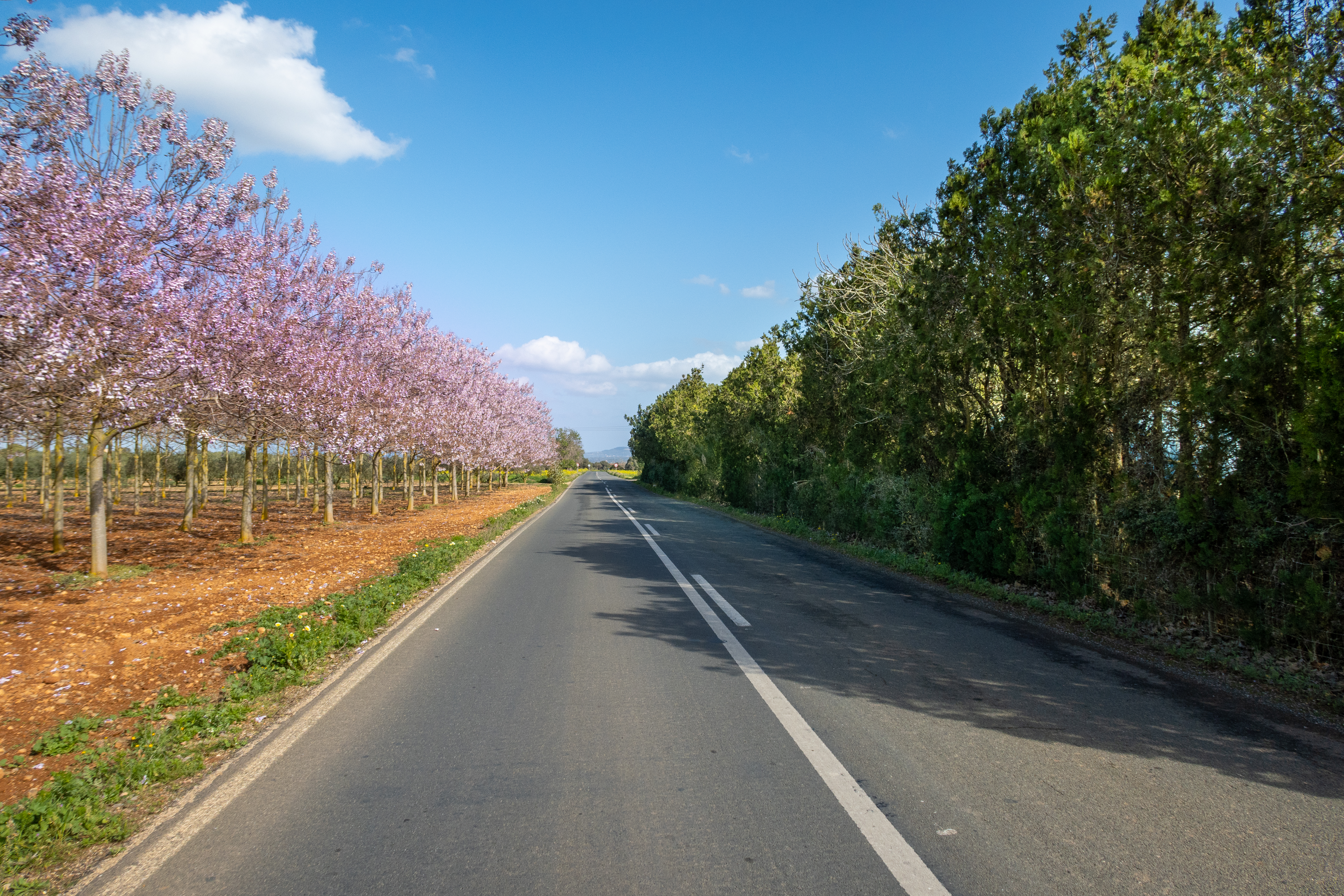 shutterstock_1956680992 shutterstock_1956680992