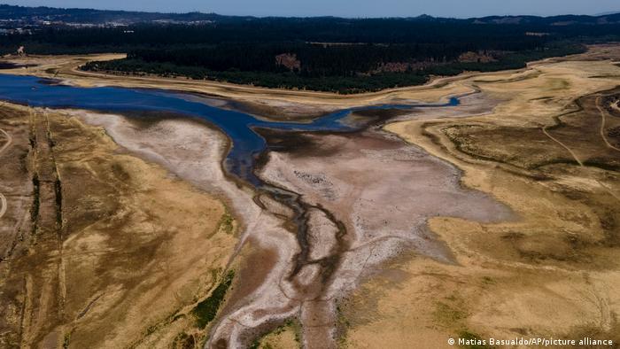 65081766_303 65081766_303