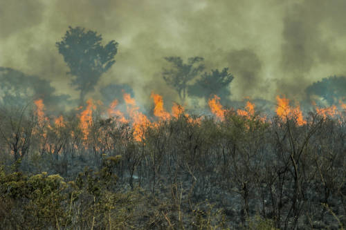 incendio amazonia