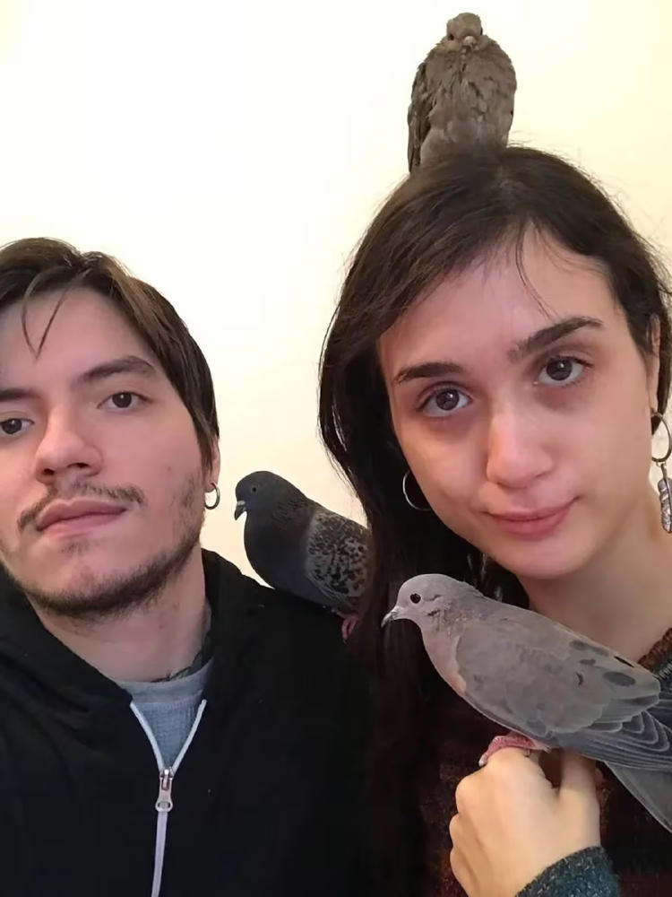 lu y andre palomas buenos aires2 lu y andre palomas buenos aires2