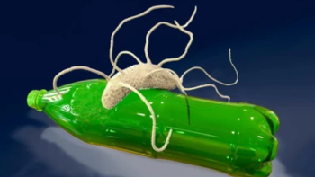 bacteria Este microorganismo, detectado en aguas profundas, se alimenta de polímeros sintéticos (Foto: shutterstock.com|