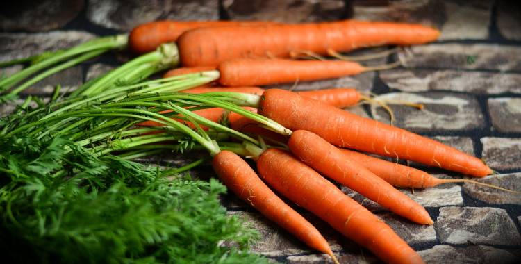 Un atado de zanahorias con sus hojas