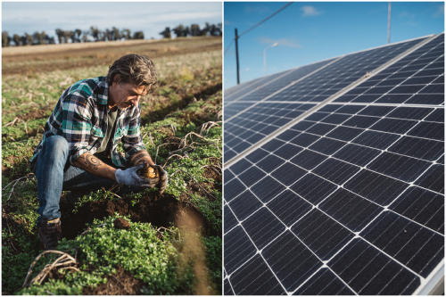 FotoJet (4) FotoJet (4)