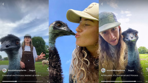 _portada bioguia (13) _portada bioguia (13)