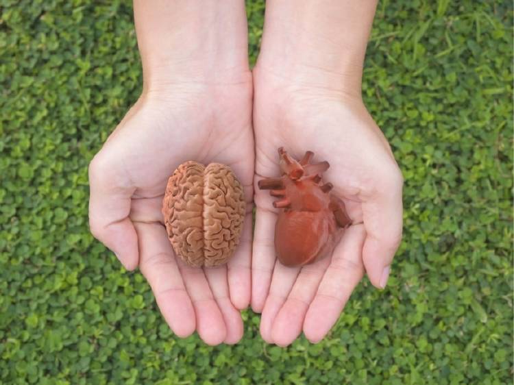 Una persona sostiene un cerebro en una mano y un corazón en la otra