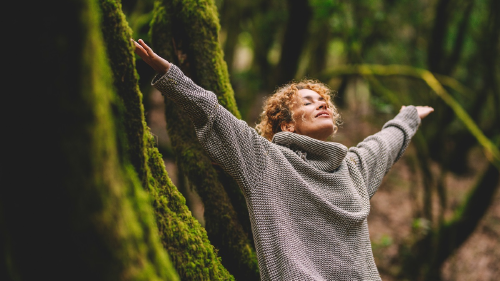 Vitamina N Vitamina N