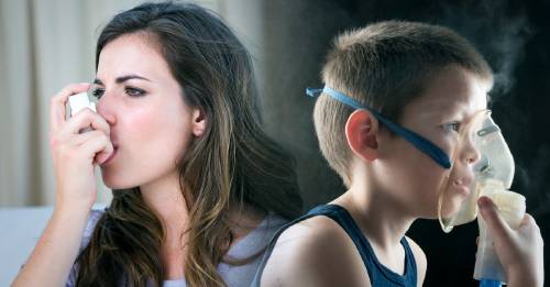 Qué significado emocional tiene el asma en niños y adultos Qué significado emocional tiene el asma en niños y adultos