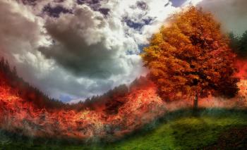 incendios forestales incendios forestales