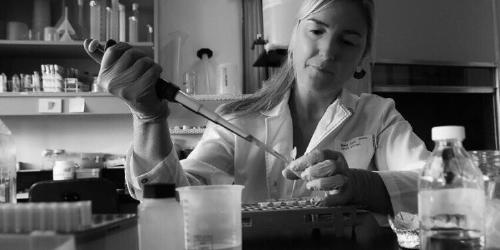 Marina 750x375 Marina 750x375