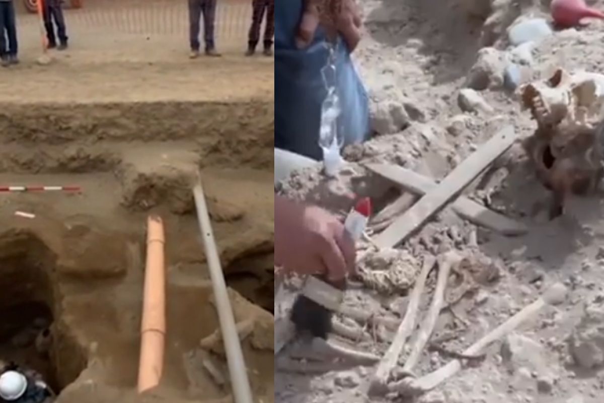En Puémape, Perú, arqueólogos hallan restos de humanos de 2.300 años con las manos atadas a la espalda, revelando antiguos rituales funerarios y sacrificios preincaicos. (msn.com)