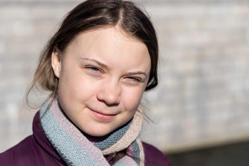 Greta Thunberg ironica 2