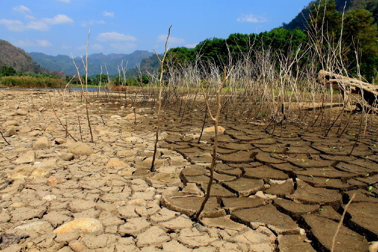 Afirman que el cambio climático podría obligar a 216 millones de personas a migrar dentro de sus países