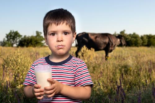 leche de vaca leche de vaca