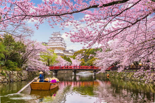 Viajar en Japón costaría la mitad después de la pandemia
