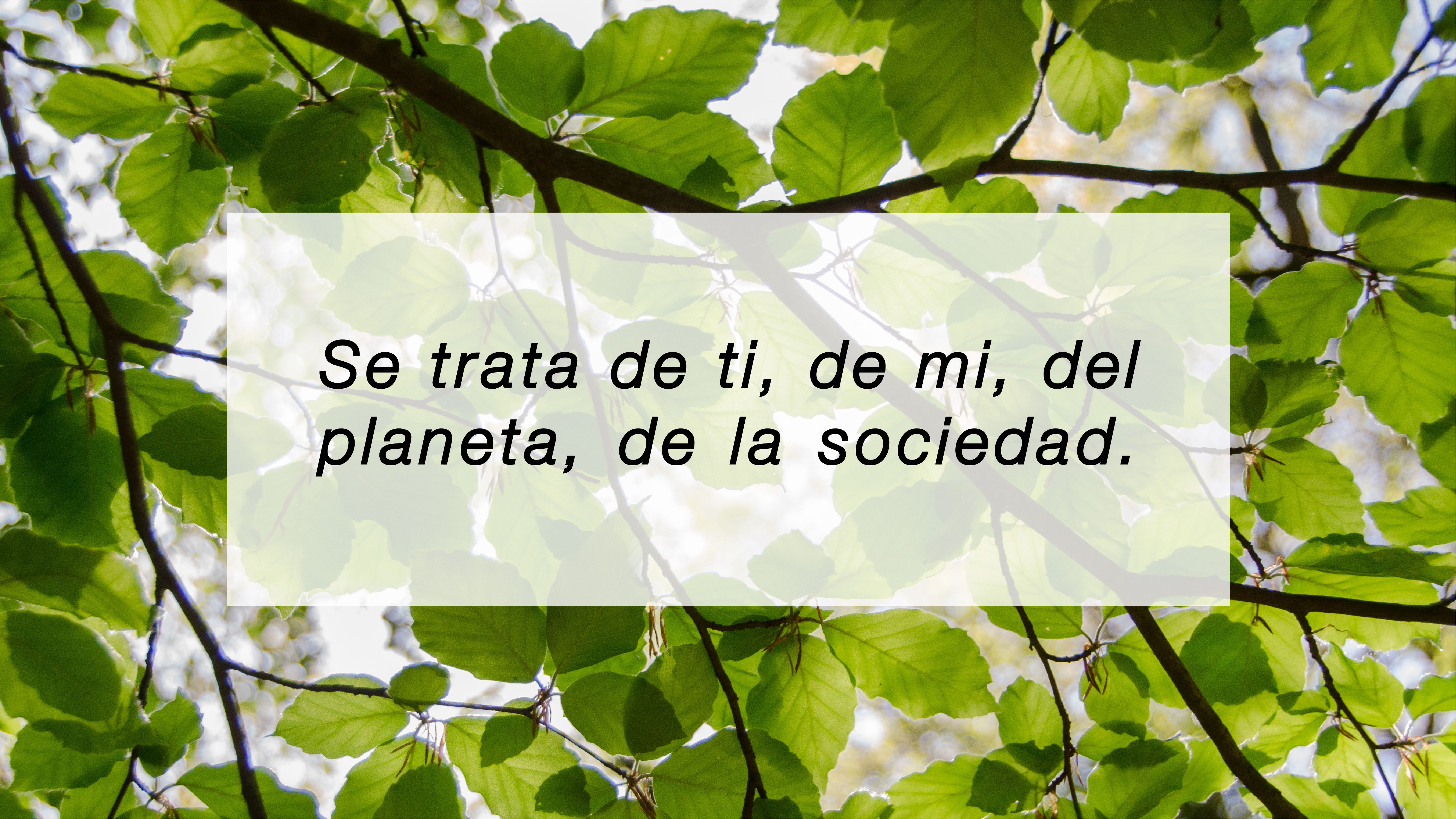 universo mola universo mola