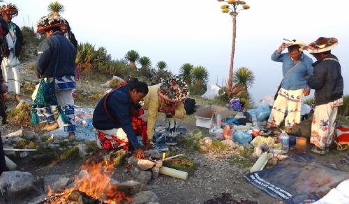 700_wirikuta 700_wirikuta